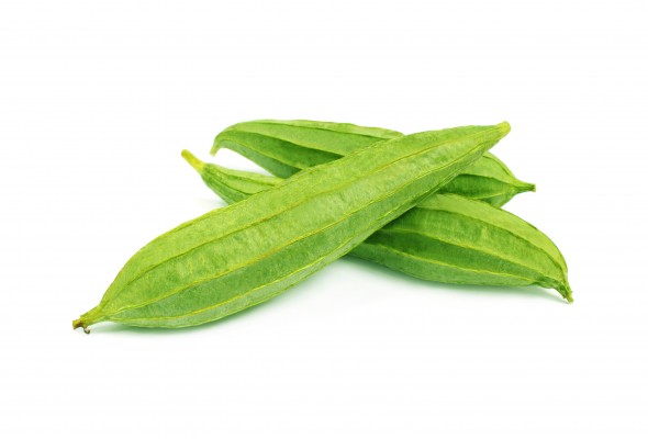 Ridgegourd