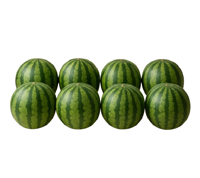 Watermelon Striped/20kg
