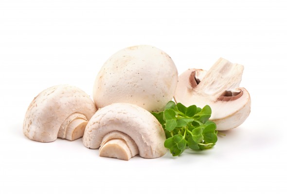Button Mushroom