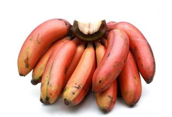 Banana Red
