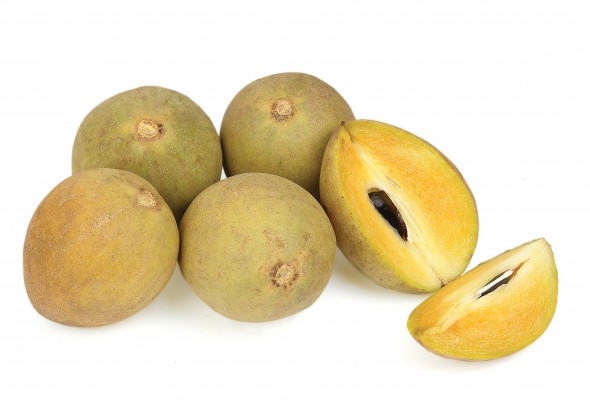 Chikku (Sapotta)
